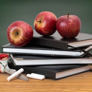 School Fee Loan